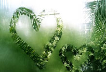 欢乐棋牌真的能带来纯粹的欢乐吗?