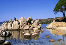 哪里能看五星体育在线直播高清无插件?